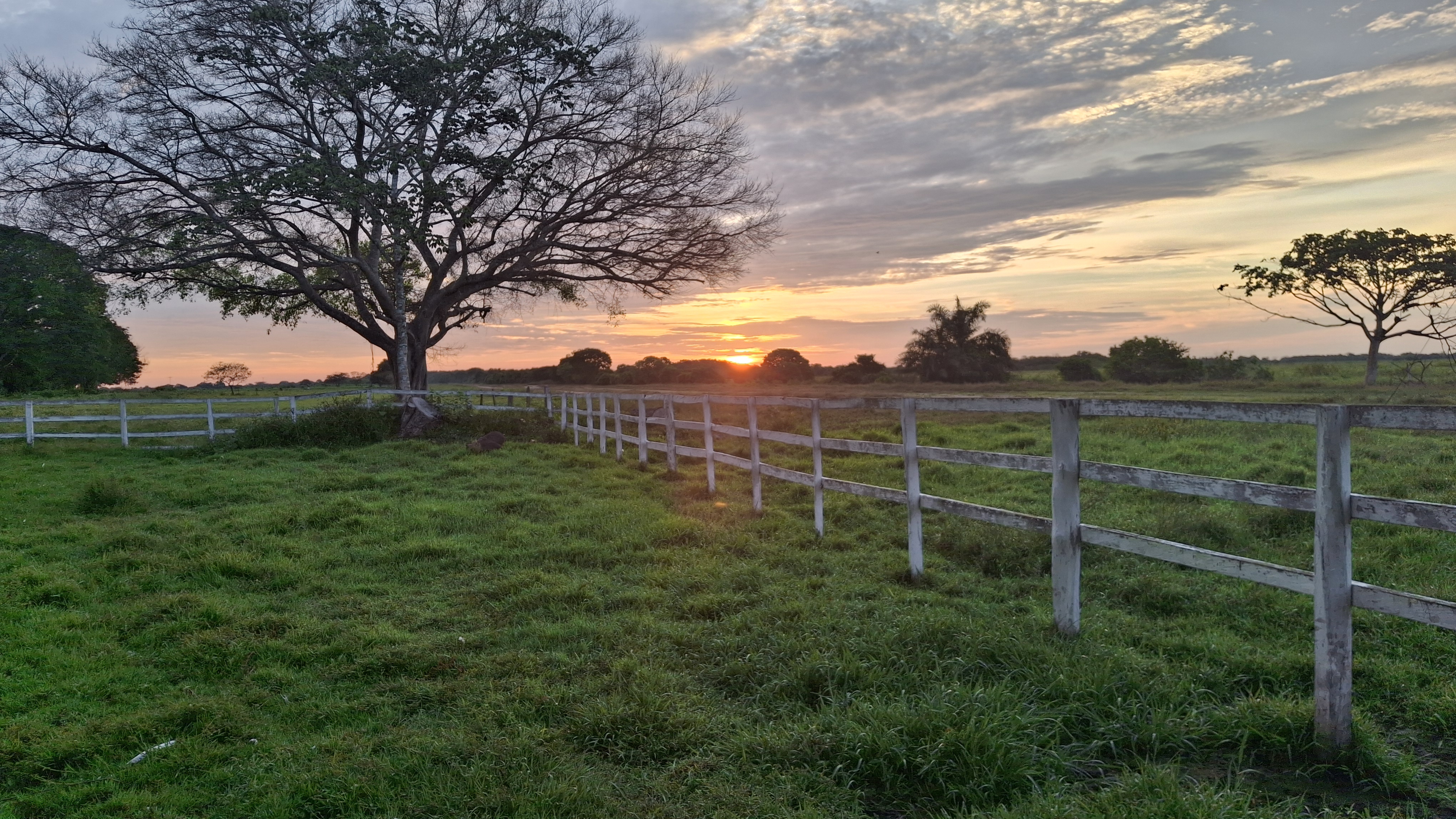 Amanecer al lado de las habitaciones en El Cedral